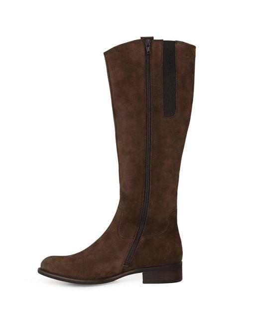 Gabor Brown Brook (M) Knee High Boots