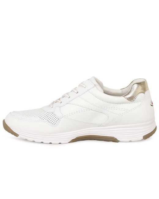 Gabor Blue Haley Trainers