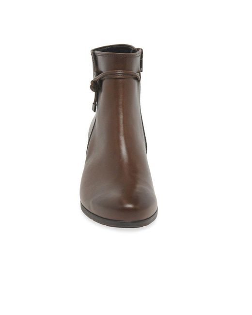 Gabor Brown Ela Ankle Boots