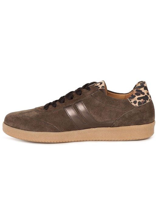 Gabor Brown West Trainers