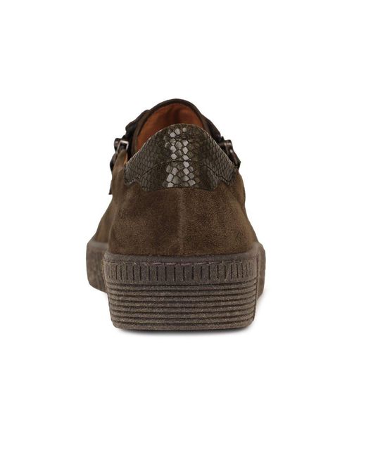 Gabor Brown Wisdom Trainers
