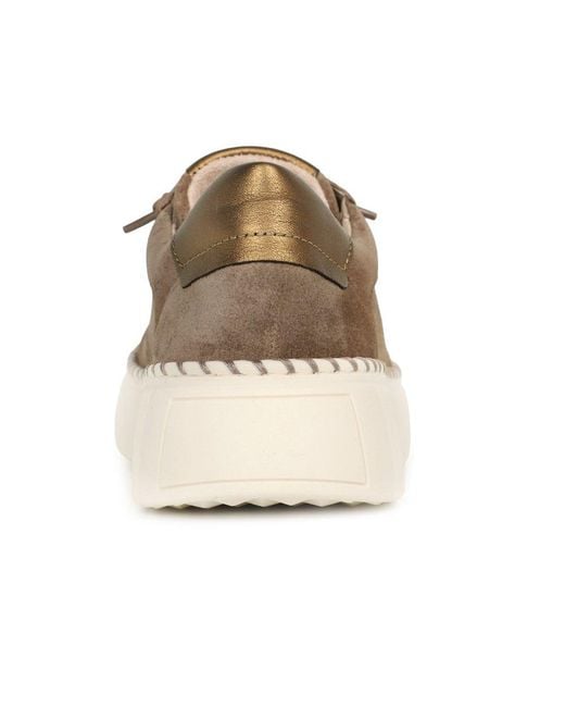 Gabor Brown Sail Trainers