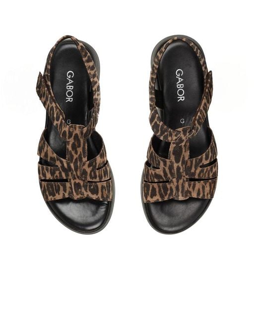 Gabor Brown Abel Sandals