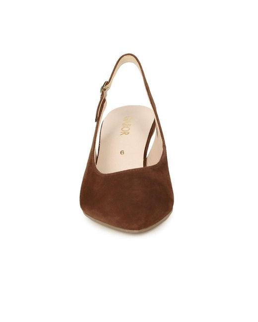 Gabor Brown Lazona Court Shoes