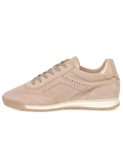 Gabor Natural Novice Trainers
