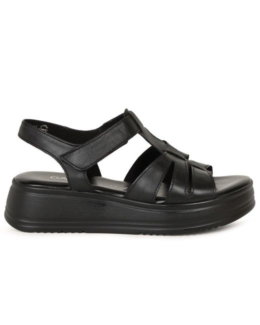 Gabor Black Abel Sandals