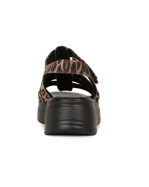Gabor Brown Abel Sandals