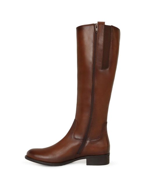 Gabor Brown Brook (S) Knee High Boots