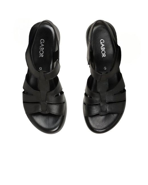 Gabor Black Abel Sandals