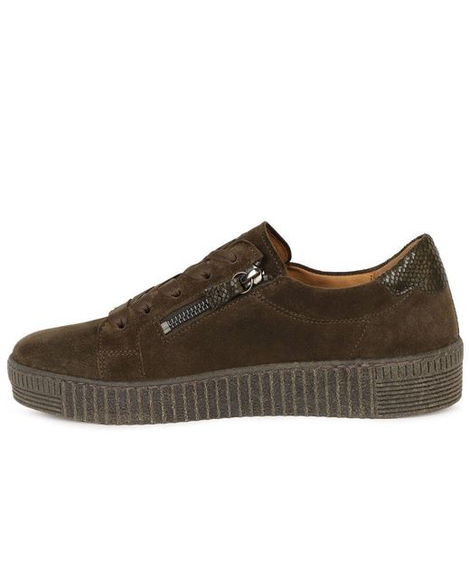 Gabor Brown Wisdom Trainers