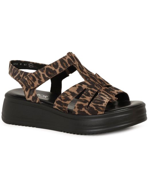 Gabor Brown Abel Sandals