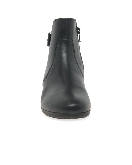 Gabor Black Bolan Ankle Boots