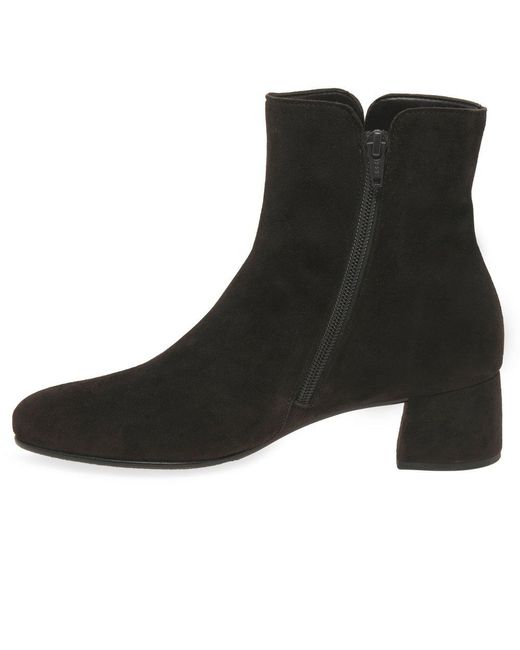 Gabor Black Abbey Ankle Boots