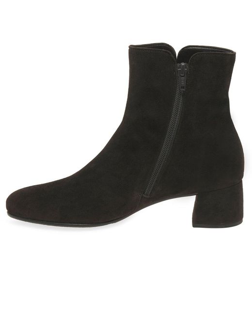 Gabor Black Abbey Ankle Boots