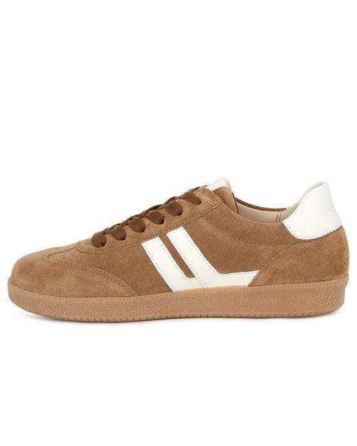 Gabor Brown West Trainers