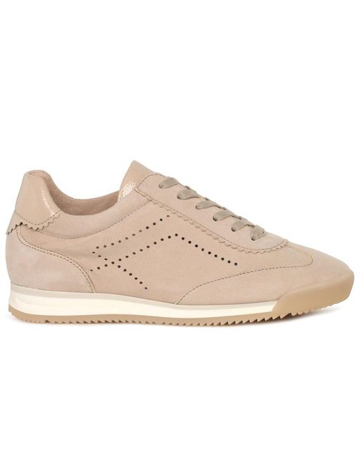 Gabor Natural Novice Trainers