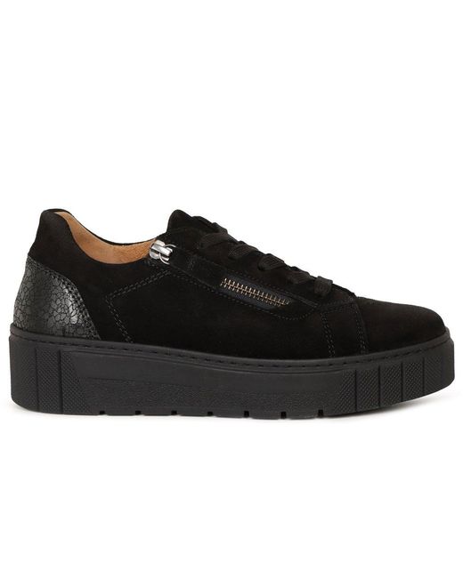 Gabor Black Ferry Trainers
