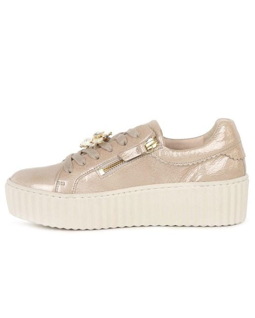 Gabor Natural Dotcom Trainers