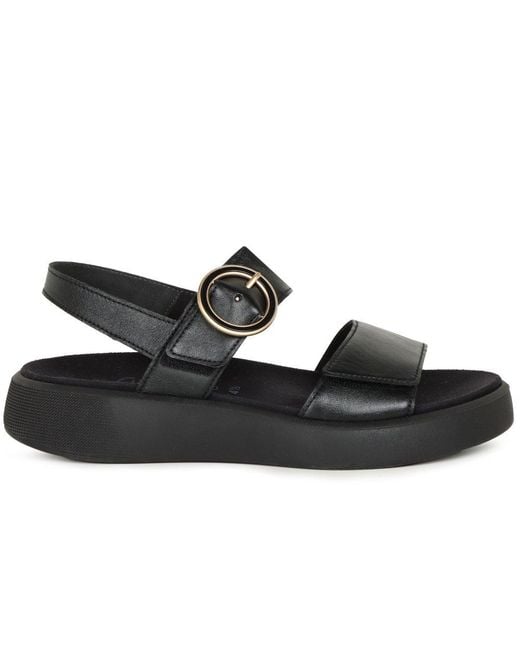 Gabor Black Pack Sandals