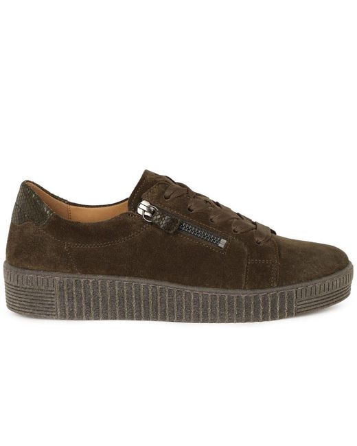 Gabor Brown Wisdom Trainers