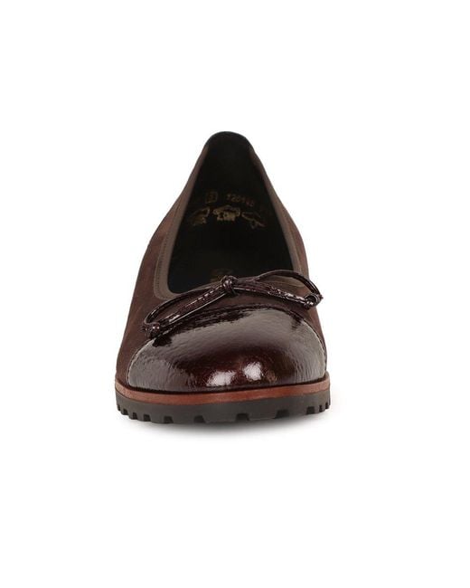 Gabor Brown Temptation Casual Shoes Size: 2
