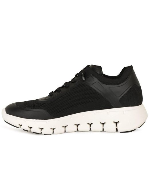 Gabor Black Ilea Trainers