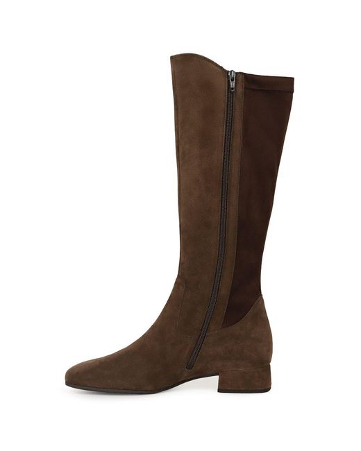 Gabor Brown Dudley (M) Knee High Boots S