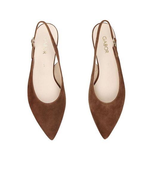 Gabor Brown Lazona Court Shoes