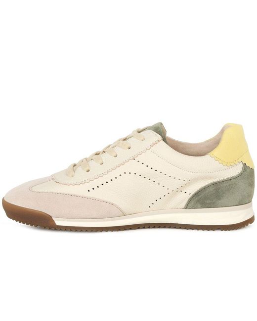 Gabor White Novice Trainers