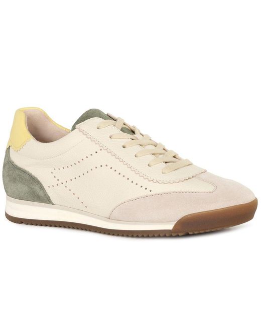 Gabor White Novice Trainers