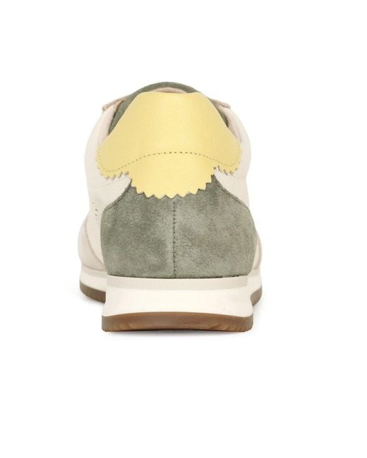Gabor White Novice Trainers