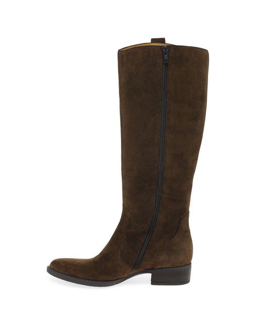 Gabor Brown Garden Knee High Boots