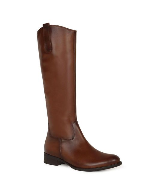 Gabor Brown Brook (S) Knee High Boots