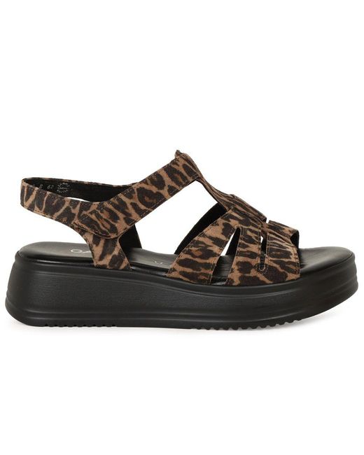 Gabor Brown Abel Sandals