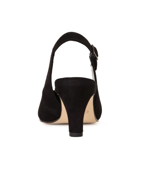 Gabor Blue Lazona Court Shoes