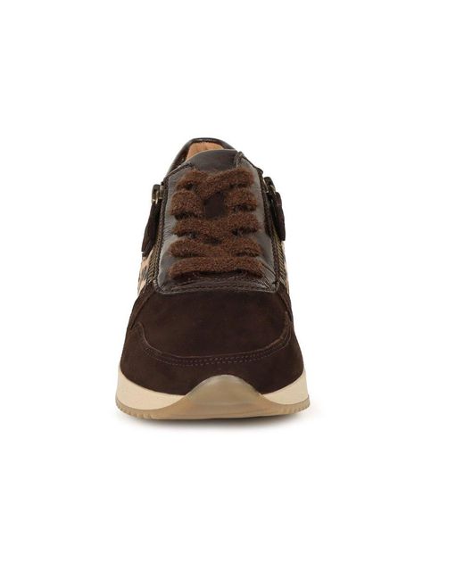 Gabor Brown Lulea Trainers
