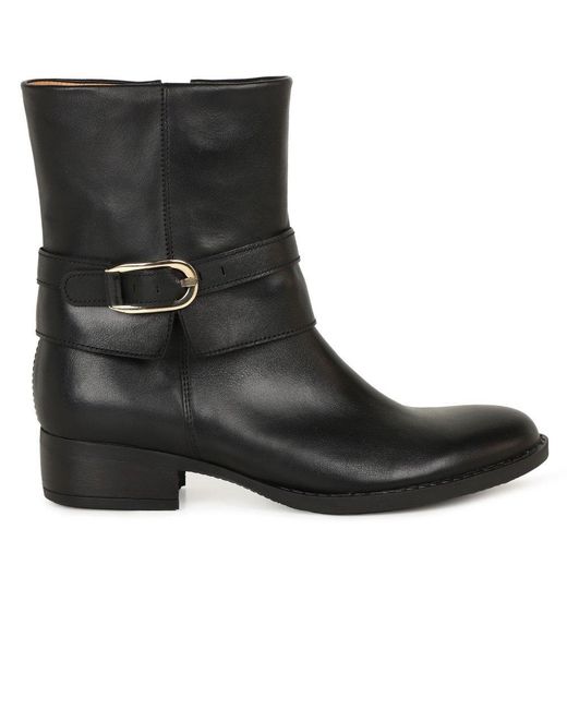 Gabor Black Ginger Ankle Boots Lea