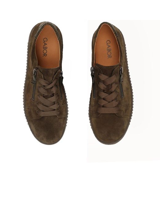 Gabor Brown Wisdom Trainers