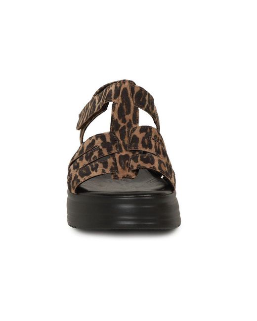 Gabor Brown Abel Sandals