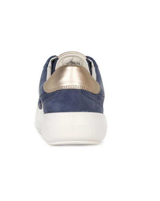 Gabor Blue Jade Trainer