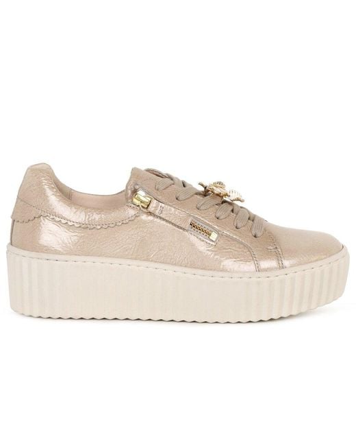 Gabor Natural Dotcom Trainers