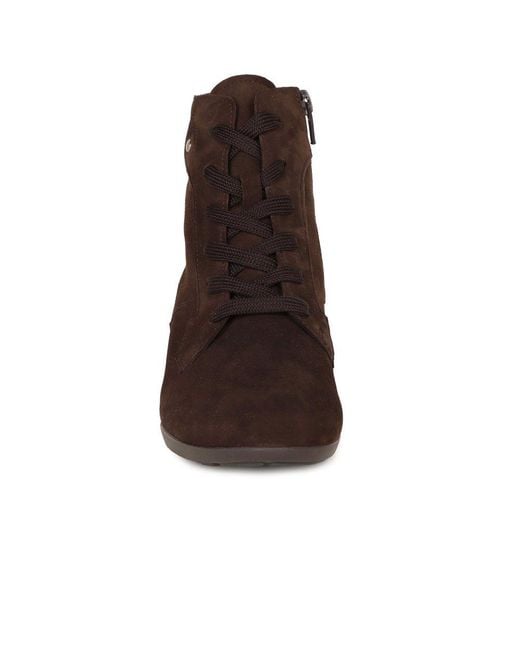 Gabor Brown Balban Ankle Boots