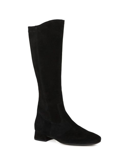 Gabor Black Dudley (M) Knee High Boots