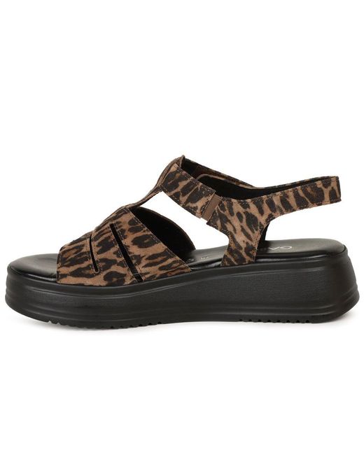 Gabor Brown Abel Sandals