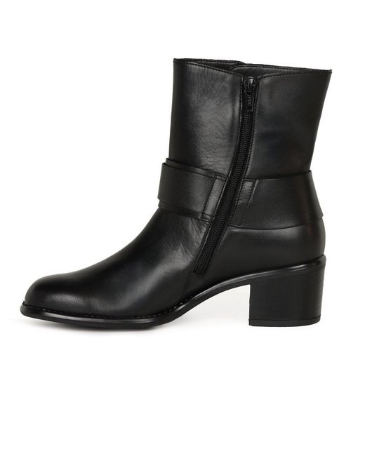 Gabor Black Easel Ankle Boots Lea (Ant)