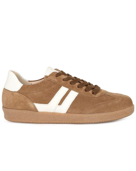 Gabor Brown West Trainers