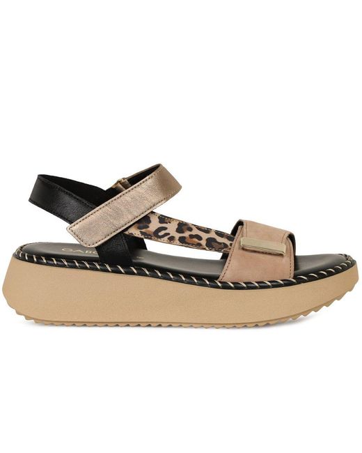 Gabor Multicolor Foam Sandals