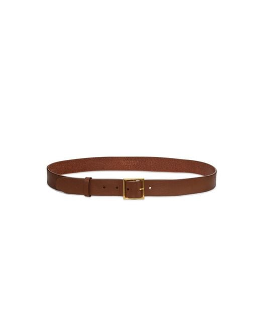 Gabriela Hearst Brown Adler Belt for men