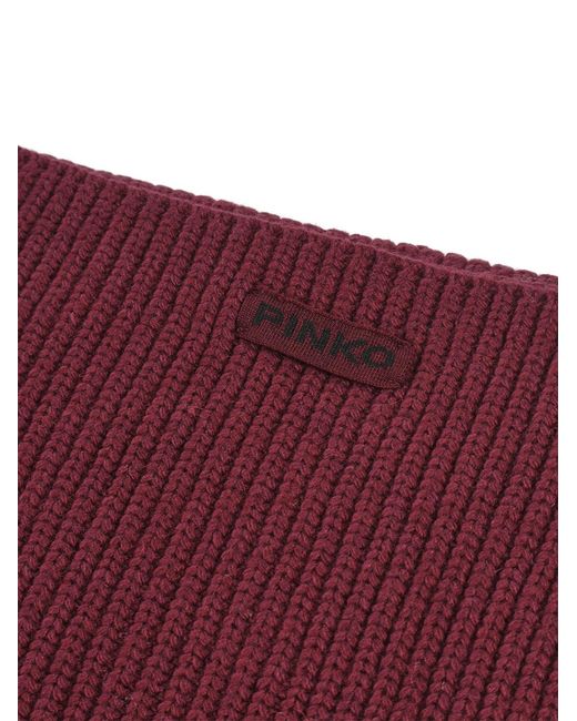 Sciarpa di Pinko in Purple