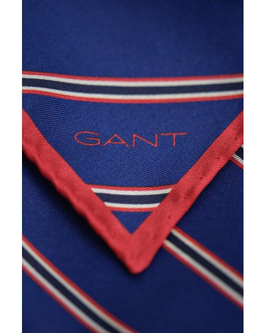 Gant Blue Striped Pocket Square Rich for men
